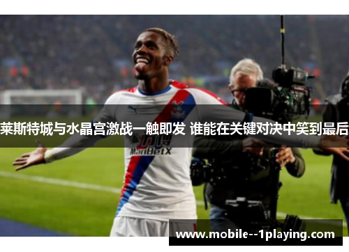 莱斯特城与水晶宫激战一触即发 谁能在关键对决中笑到最后 莱斯特城与水晶宫激战一触即发 谁能在关键对决中笑到最后