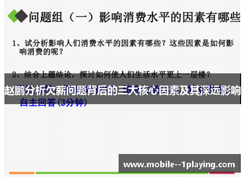 赵鹏分析欠薪问题背后的三大核心因素及其深远影响