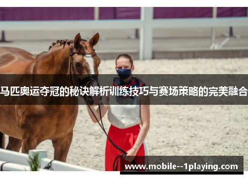 马匹奥运夺冠的秘诀解析训练技巧与赛场策略的完美融合