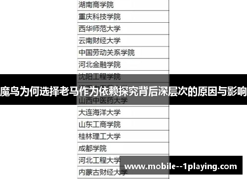 魔鸟为何选择老马作为依赖探究背后深层次的原因与影响