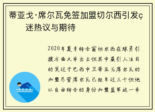 蒂亚戈·席尔瓦免签加盟切尔西引发球迷热议与期待