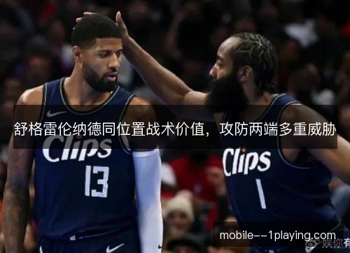 舒格雷伦纳德同位置战术价值,攻防两端多重威胁 舒格雷伦纳德同位置战术价值,攻防两端多重威胁